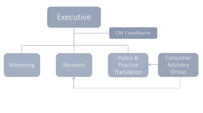 CRE in Newborn Medicine - Governance